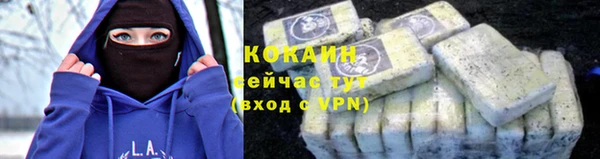 винт Новозыбков