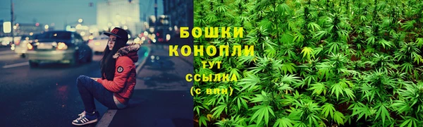 винт Новозыбков