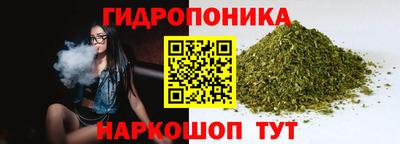 амф Обнинск