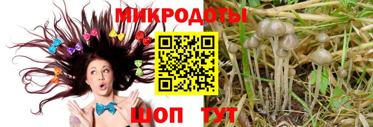 Южноуральск  Галлюциногенные грибы MAGIC MUSHROOMS  Вход с VPN 